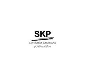 skp_300x270